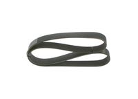 BOSCH 1 987 946 265 - Correa trapecial poli V