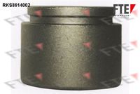 FTE 9313000 - Émbolo, pinza del freno