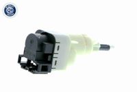 VEMO V10-73-0365 - Conmutador, accionamiento embrague (distribución motor)