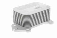 VEMO V22-60-0003 - Radiador de aceite, aceite motor