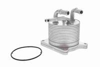 VEMO V33-60-0012 - Radiador de aceite, transmisión automática
