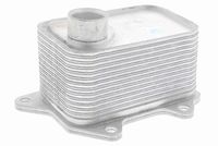 VEMO V15-60-6068 - Radiador de aceite, aceite motor