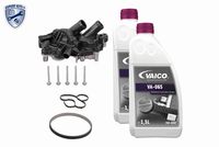 VEMO V15-99-2113-XXL - Bomba de agua + kit correa distribución