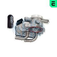 ERA 556211 - Cuerpo de mariposa