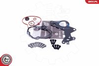 ESEN SKV 18SKV801 - kit reparación, bomba vacío (frenos)