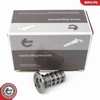 ESEN SKV 39SKV072 - Válvula control, ajuste de levas