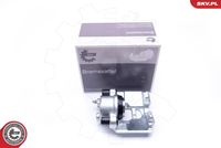 ESEN SKV 42SKV622 - Pinza de freno