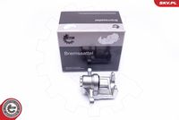 ESEN SKV 45SKV193 - Pinza de freno