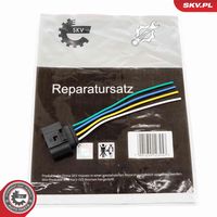 ESEN SKV 53SKV173 - Kit reparación cables, bobina de encendido