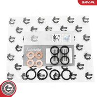 ESEN SKV 53SKV195 - Juego de juntas, inyector