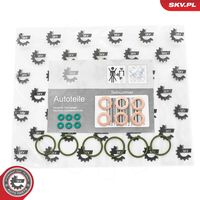 ESEN SKV 53SKV200 - Kit juntas, inyector