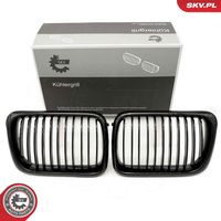 ESEN SKV 66SKV049 - Panal de radiador