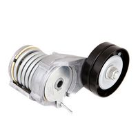 Stark SKVB-0590014 - Brazo tensor, correa poli V