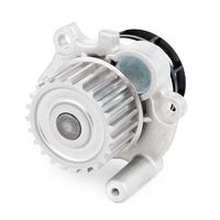 Stark SKWP-0520057 - Bomba de agua, refrigeración del motor