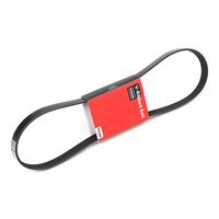 Stark SK-6PK1148 - Correa trapecial poli V