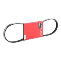 Stark SK-4PK925 - Correa trapecial poli V