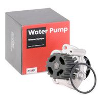 Stark SKWP-0520333 - Bomba de agua, refrigeración del motor
