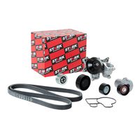 Stark SKPRB-5160009 - Bomba de agua + kit de correa poli V