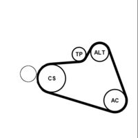 CONTINENTAL CTAM 6PK894K2 - Juego de correas trapeciales poli V
