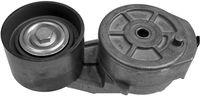 CONTINENTAL CTAM V58800 - Brazo tensor, correa poli V