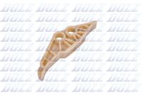DOLZ 02KCG020 - Carril de deslizamiento, cadena de distribución