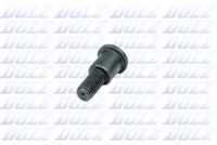 DOLZ 02KCP035 - Tornillo