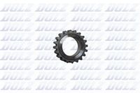 DOLZ 06KC116 - Rueda dentada para cadena