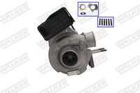 WALKER 59835G-EV - Turbocompresor, sobrealimentación