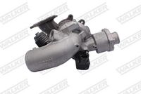 WALKER 59425H-EW - Turbocompresor, sobrealimentación