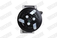 WALKER WCP00384 - Compresor, aire acondicionado
