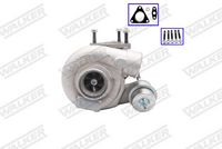 WALKER 59808G-PW - Turbocompresor, sobrealimentación