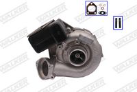 WALKER 59773G-EV - Turbocompresor, sobrealimentación