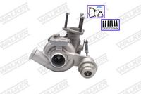 WALKER 59569G-PW - Turbocompresor, sobrealimentación
