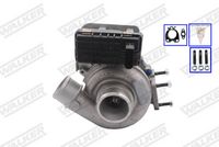 WALKER 59140G-EV - Turbocompresor, sobrealimentación