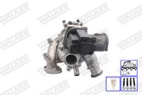 WALKER 59143T-EW - Turbocompresor, sobrealimentación