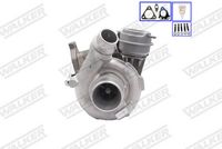 WALKER 59174G-PV - Turbocompresor, sobrealimentación