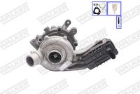 WALKER 59259G-EV - Turbocompresor, sobrealimentación