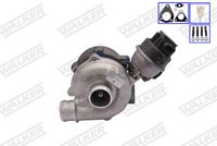 WALKER 59261B-PV - Turbocompresor, sobrealimentación
