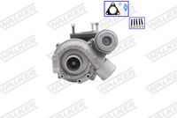 WALKER 59775B-PW - Turbocompresor, sobrealimentación