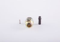 BOSCH F 002 D11 347 - Imán de elevación