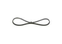 BOSCH 1 987 946 151 - Correa trapecial poli V