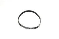 CONTINENTAL CTAM 4PK798 ELAST - Correa trapecial poli V