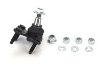 CONTINENTAL CTAM SUG1004 - Rótula de suspensión/carga