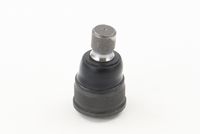 CONTINENTAL CTAM SUG1074 - Rótula de suspensión/carga