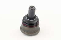 CONTINENTAL CTAM SUG1128 - Rótula de suspensión/carga