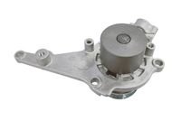 SKF VKPC 81295-1 - Bomba de agua, refrigeración del motor