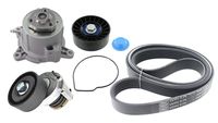 SKF VKMC 31154 - Bomba de agua + kit de correa poli V