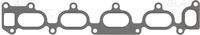 GLASER X89751-01 - Junta, colector de admisión