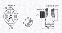 MAGNETI MARELLI 063377004010 - Alternador