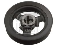 FEBI BILSTEIN 103113 - Polea, cigüeñal